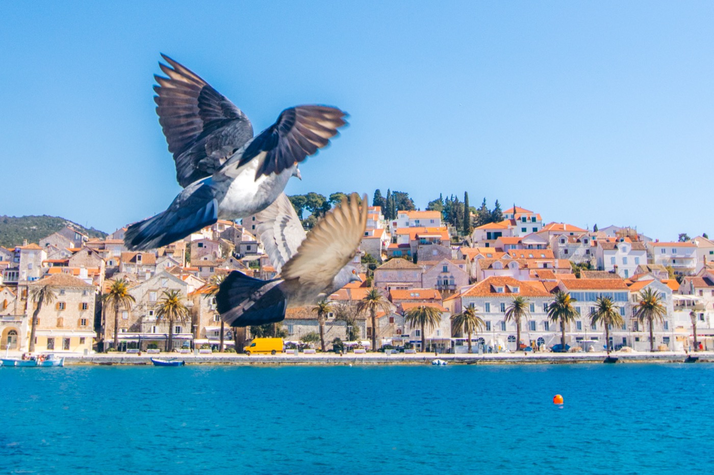 Unforgettable Croatia Photography - image 3