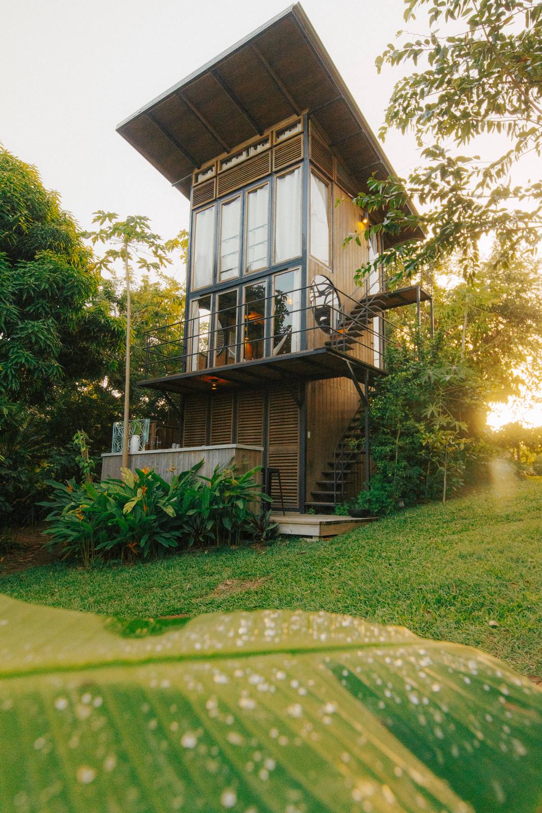 La Finca Victoria boutique hotel in Vieques, Puerto Rico - image 3