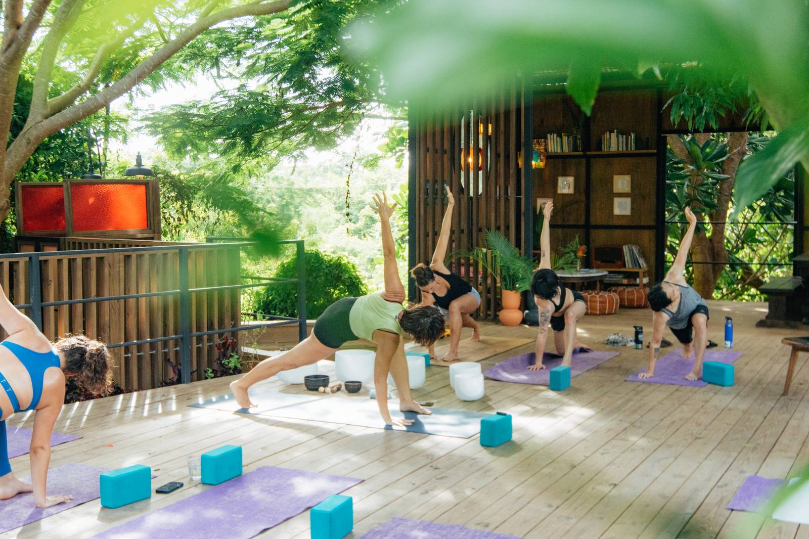 La Finca Victoria boutique hotel in Vieques, Puerto Rico - image 16