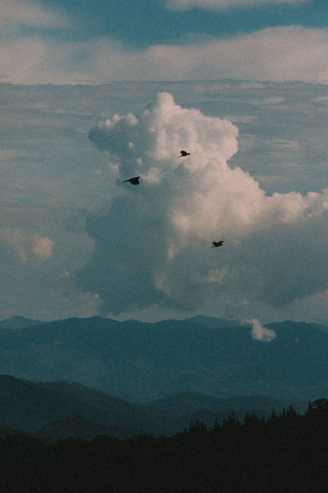 Gatlinburg Cabins vacation rental photography - image 5