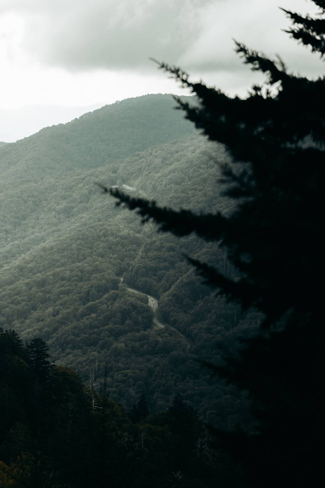 Gatlinburg Cabins vacation rental photography - image 7