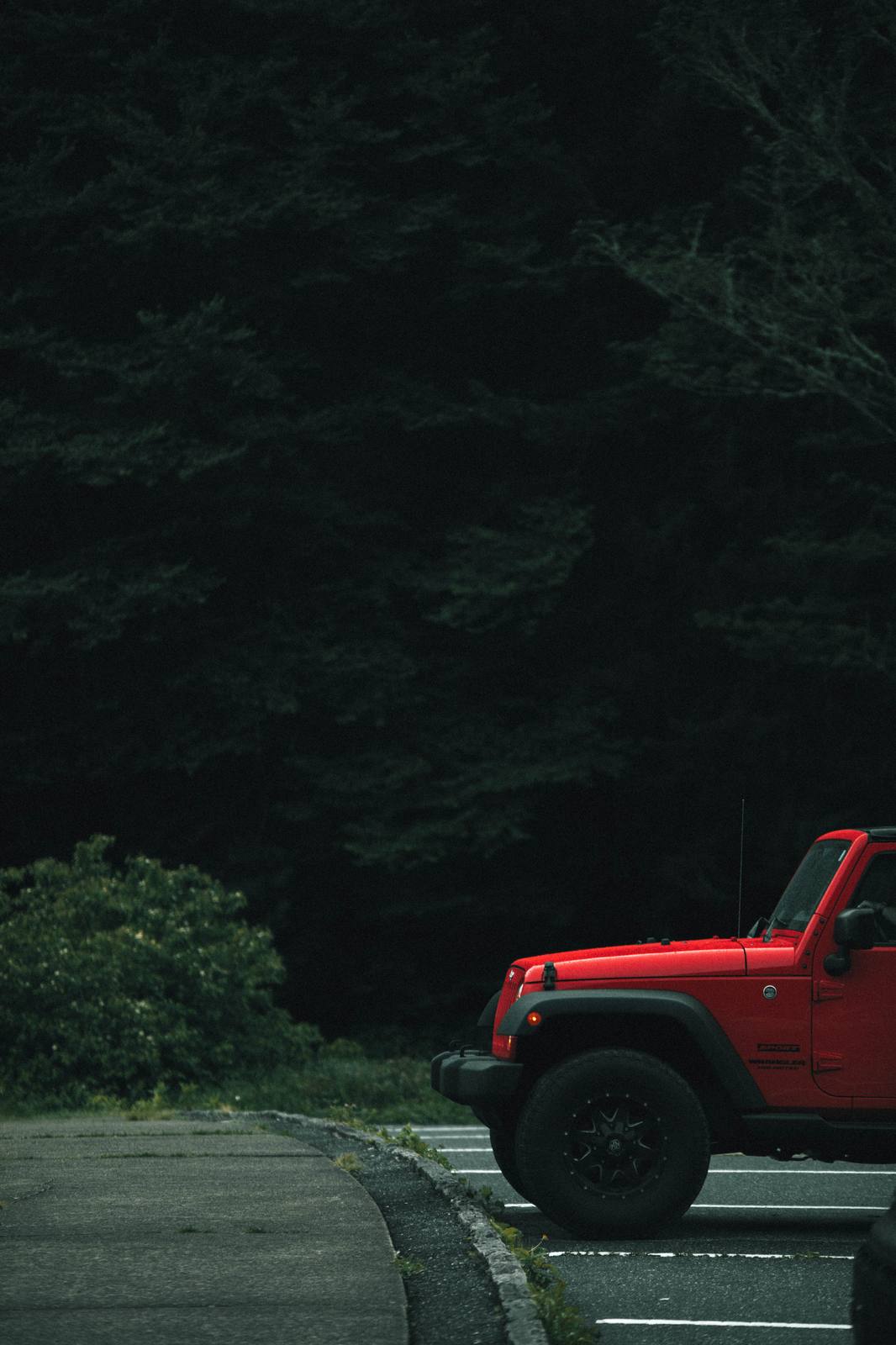 Gatlinburg Cabins vacation rental photography - image 15