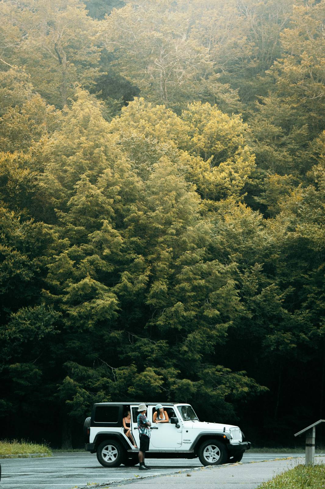 Gatlinburg Cabins vacation rental photography - image 16