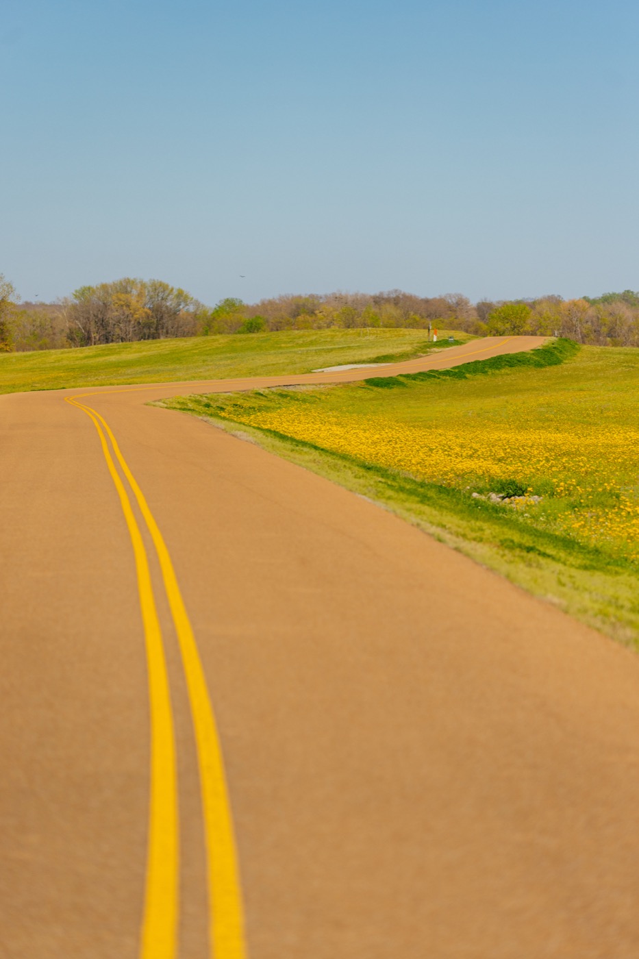Henry County Tourism Authority Photography - image 6