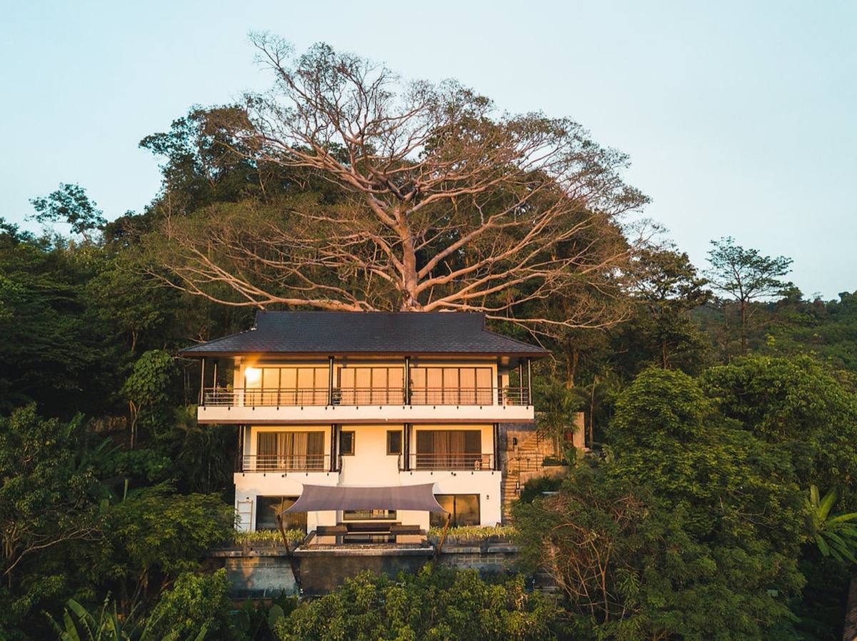 Jungle villa exterior glowing at dusk, framed by a large canopy tree