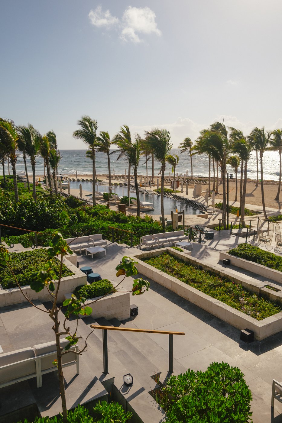 Beachfront resort pool framed by palm trees at Hilton Tulum