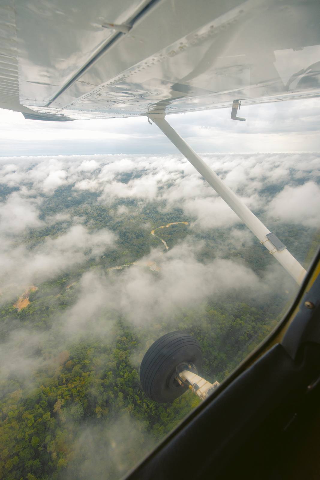 Kapawi Ecolodge in the Ecuadorian Amazon - image 3