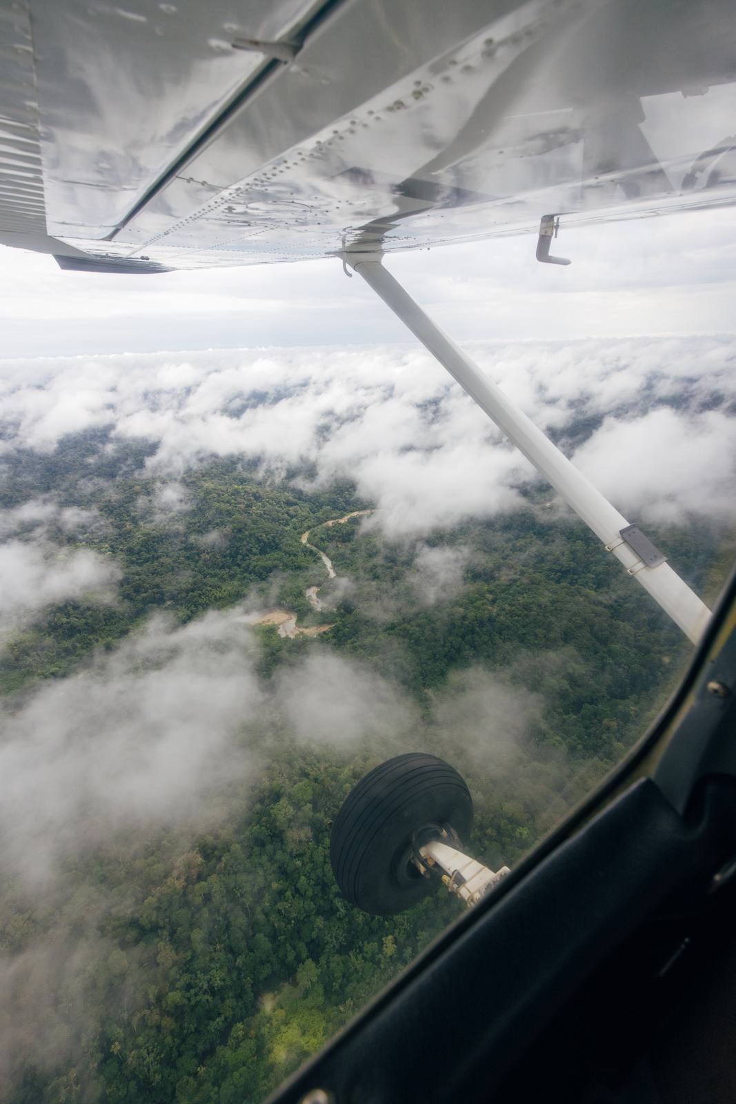 Kapawi Ecolodge in the Ecuadorian Amazon - image 4