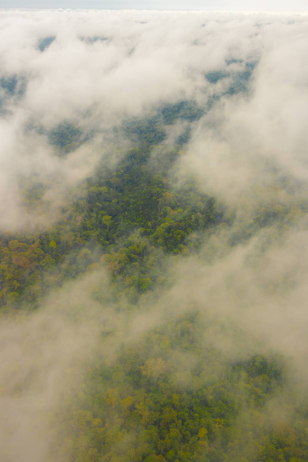 Kapawi Ecolodge in the Ecuadorian Amazon - image 5
