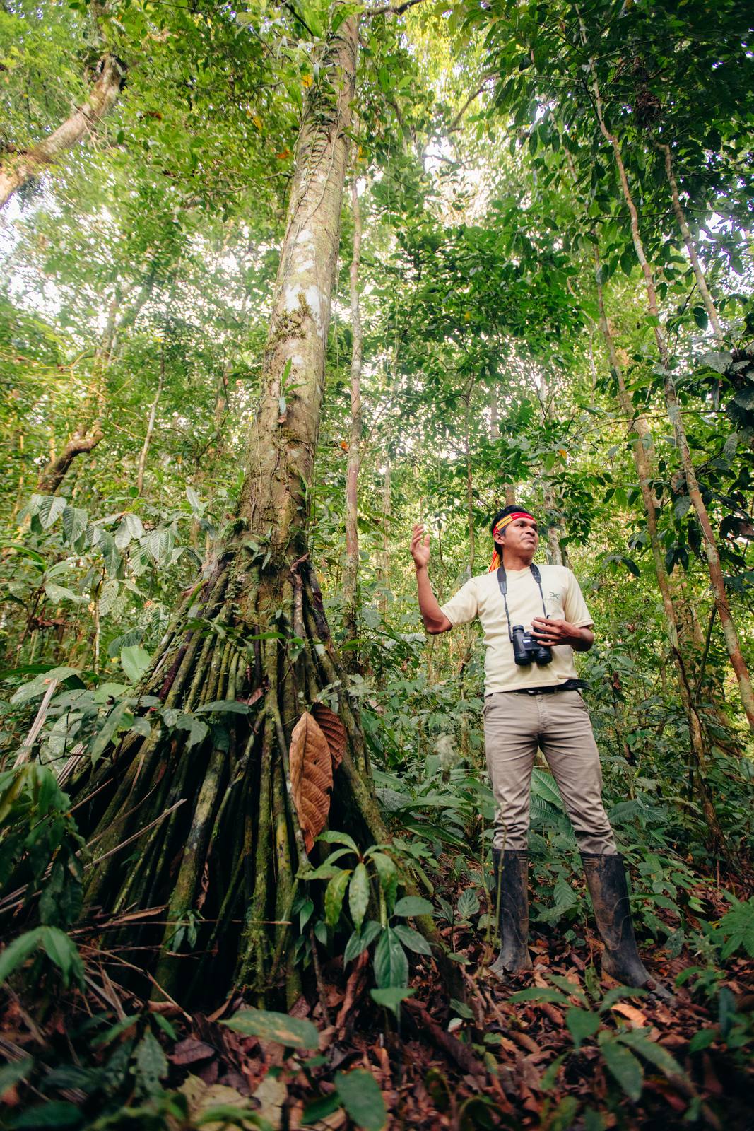 Kapawi Ecolodge in the Ecuadorian Amazon - image 7