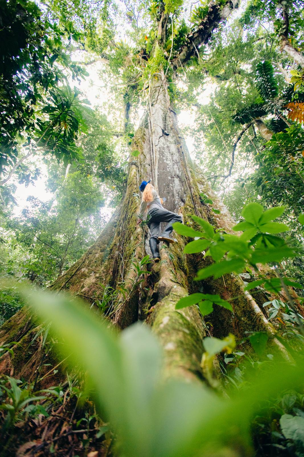 Kapawi Ecolodge in the Ecuadorian Amazon - image 8