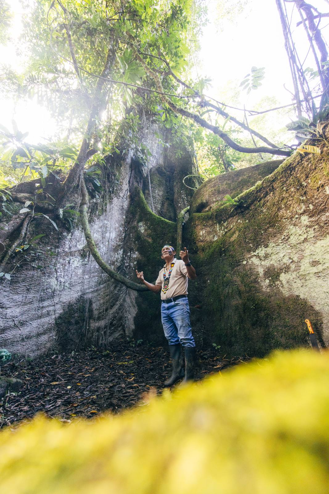 Kapawi Ecolodge in the Ecuadorian Amazon - image 16