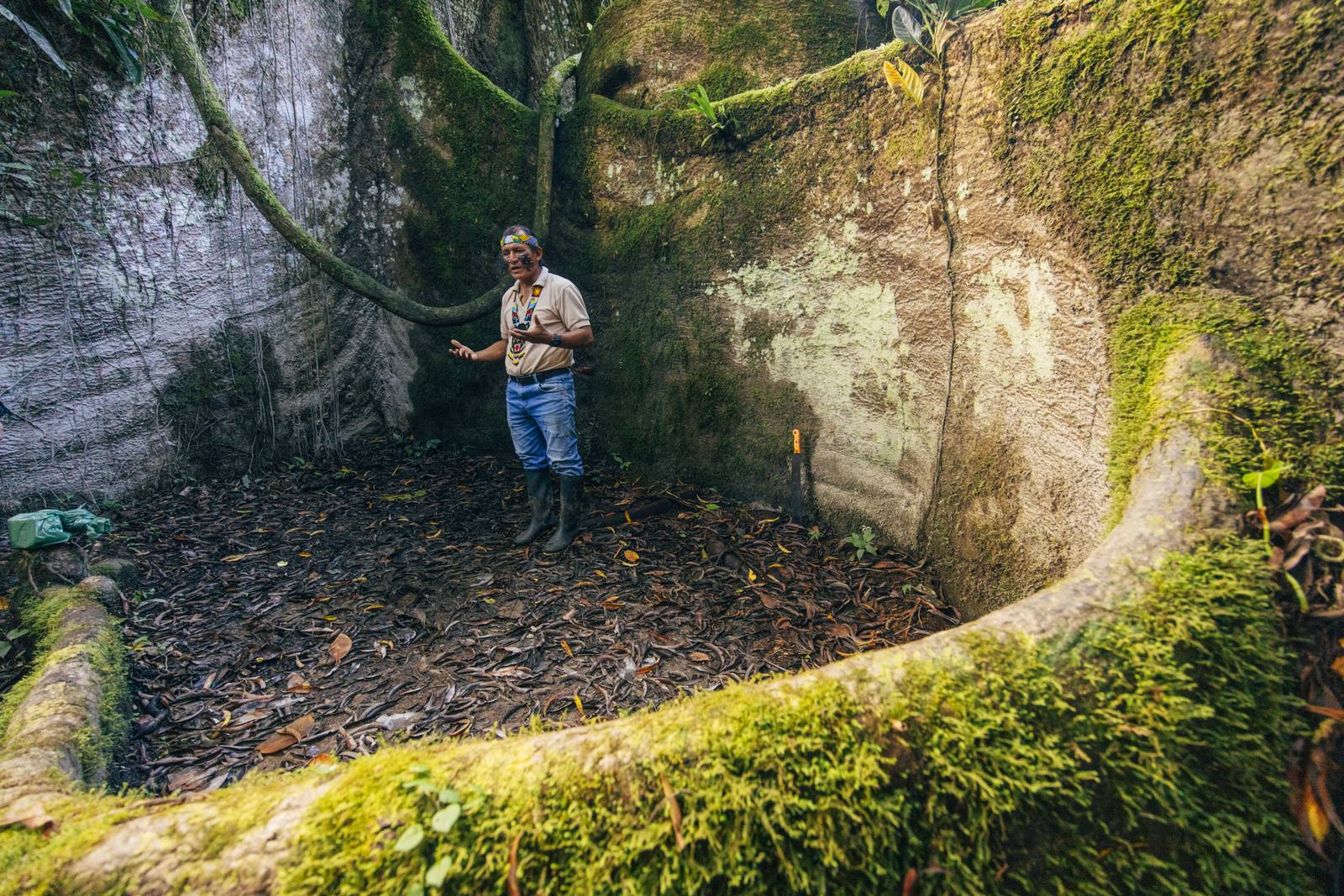 Kapawi Ecolodge in the Ecuadorian Amazon - image 17