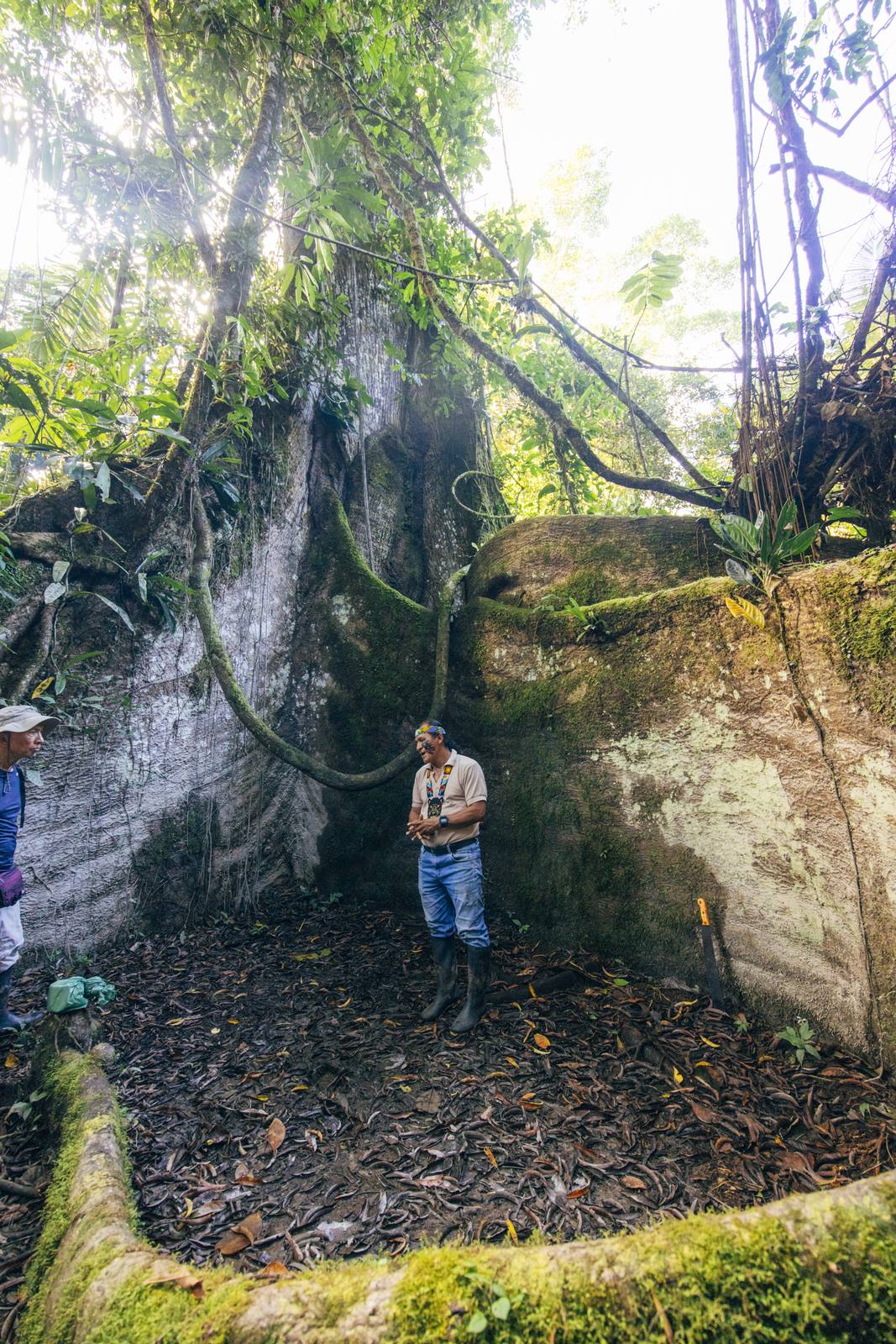 Kapawi Ecolodge in the Ecuadorian Amazon - image 18