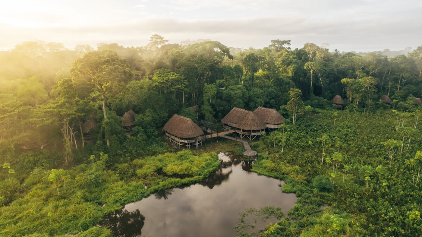 Aerial view of an Amazon ecolodge's thatched-roof cabins surrounded by rainforest canopy