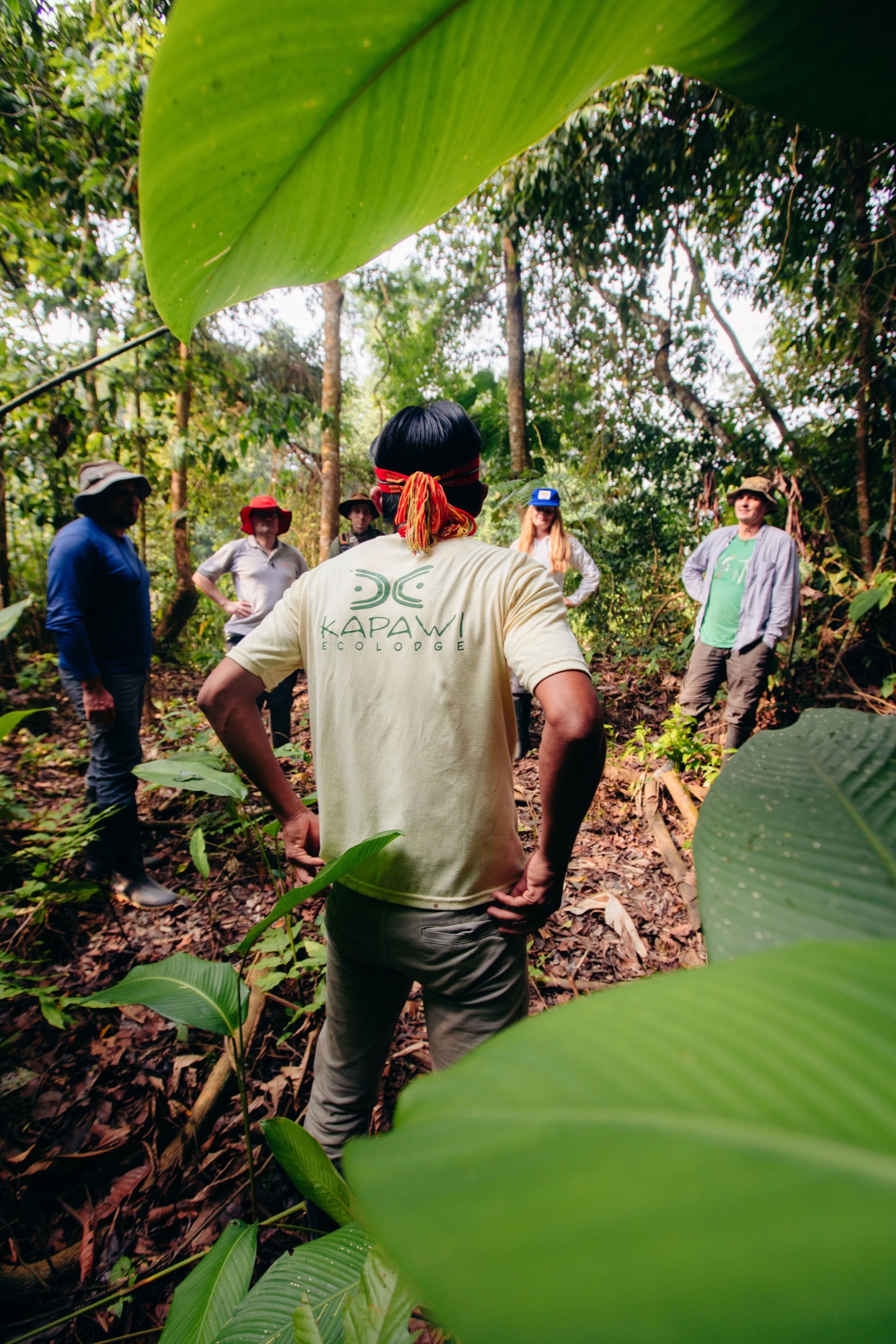 Guide leading guests through the jungle on a guided excursion