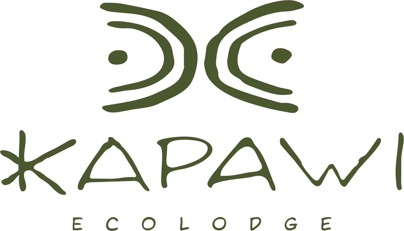 Kapawi Ecolodge